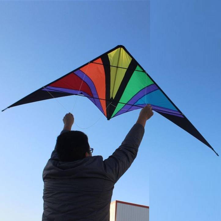 1.8m Colorful V Stunt kite [Sound][Albatross]