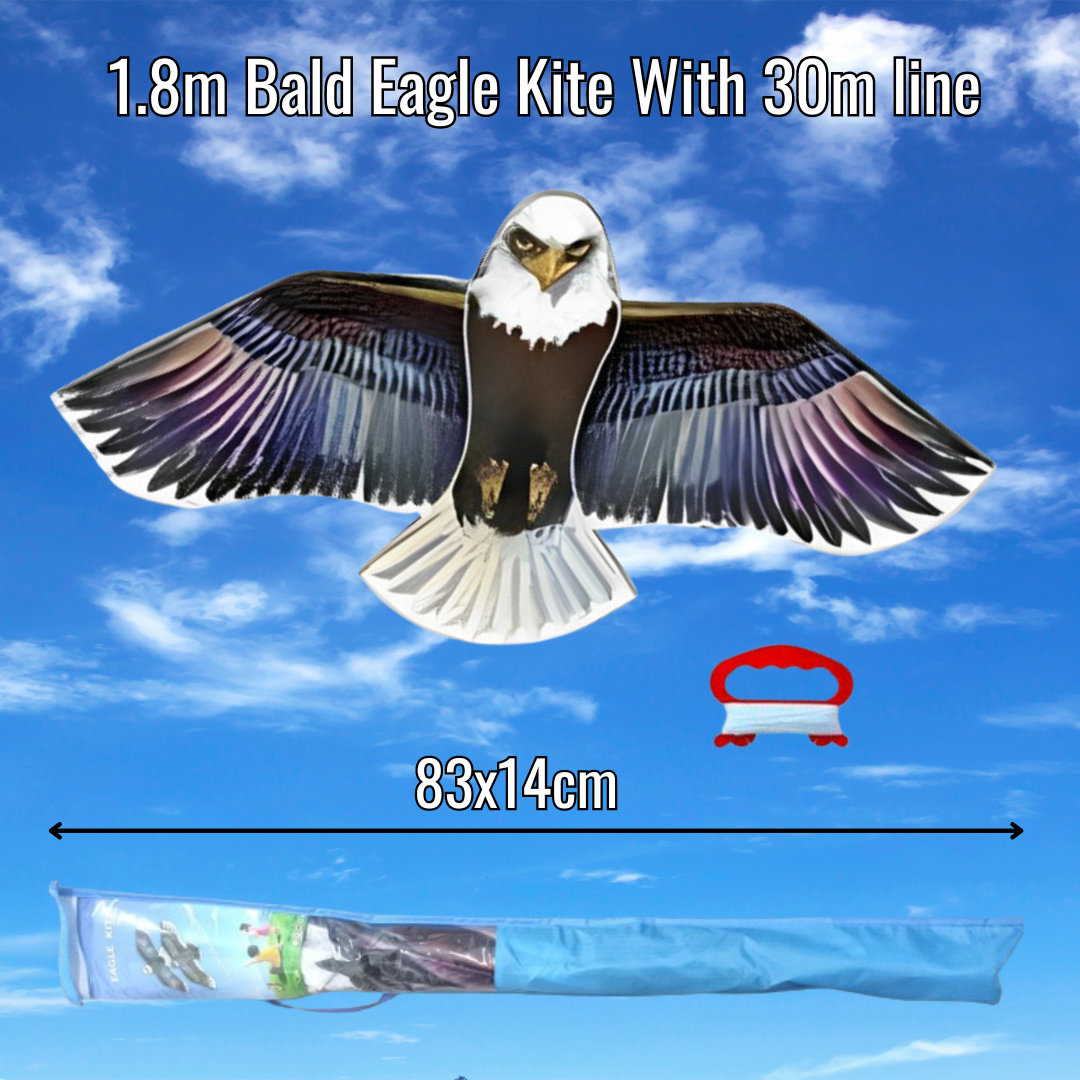  Toyvian 1 Set Handmade Kite Eagle Huge Kite Eagle Kite Plastic  Kite Easy Flyer Kite Outside Toys Life Eagle Kite Animal Kite for Kids Park  Child Plastic Film Self Made Fishing